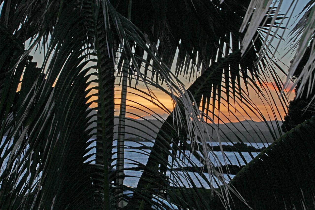 Driftwood Lodge Beachfront, Cable Bay, Northland Coopers Beach Esterno foto